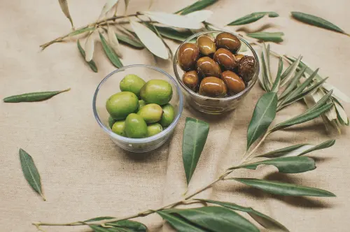 Raccolta delle olive: come fare? Strumenti da utilizzare e passaggi da seguire