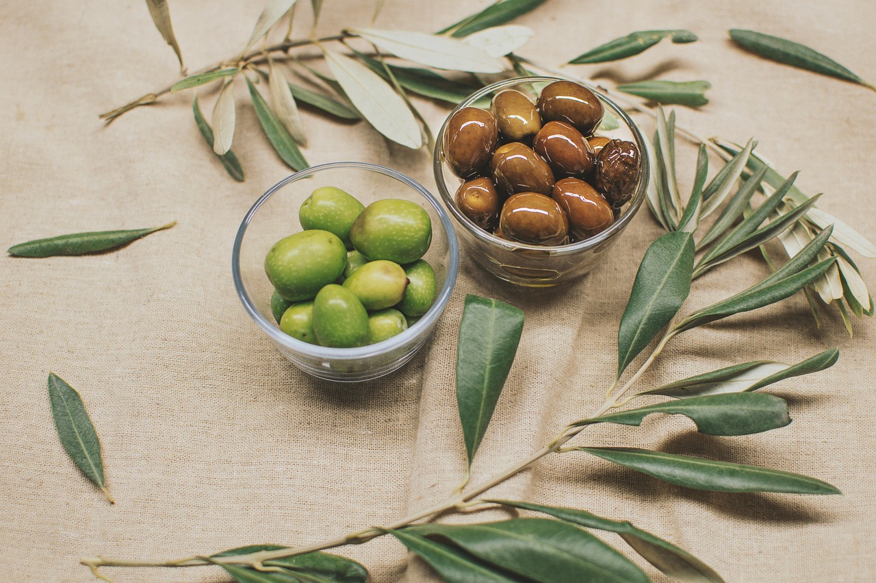 Raccolta delle olive: come fare? Strumenti da utilizzare e passaggi da seguire
