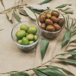 Raccolta delle olive: come fare? Strumenti da utilizzare e passaggi da seguire