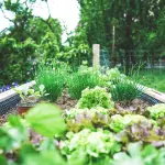 Come arredare il giardino: idee e consigli