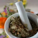 Come avviare una coltivazione di piante officinali e aromatiche