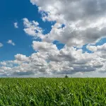 Quando l'agricoltura ecologica dipende anche dai macchinari utilizzati