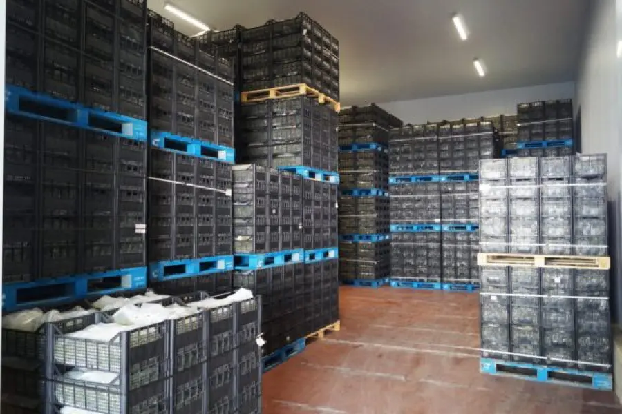 Refrigerazione industriale: scopriamo come funziona e a cosa serve