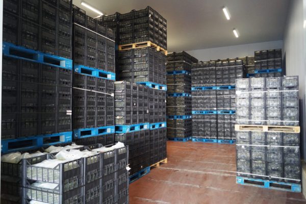 Refrigerazione industriale: scopriamo come funziona e a cosa serve