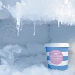 Elettrodomestici sempreverdi: per un 2020 più green