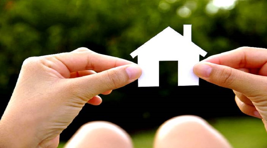 Perché è necessario rivolgersi a ditte specializzate per interventi di disinfestazione