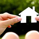 Perché è necessario rivolgersi a ditte specializzate per interventi di disinfestazione